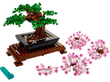 Bonsai Tree