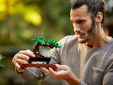 Bonsai Tree