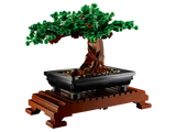 Bonsai Tree