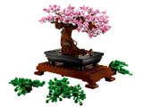 Bonsai Tree