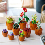Tiny Plants