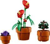 Tiny Plants