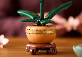 Mini Orchid