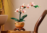 Mini Orchid