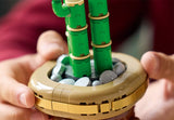 Lucky Bamboo