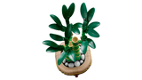 Lucky Bamboo
