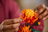 Chrysanthemum
