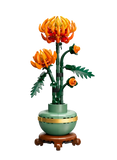 Chrysanthemum