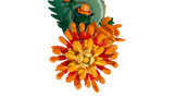 Chrysanthemum