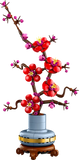 Plum Blossom