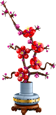 Plum Blossom