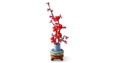Plum Blossom