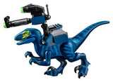 Rex's Rexplorer!