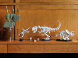 Ideas Dinosaur Fossils