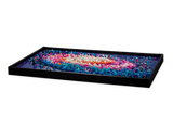 The Milky Way Galaxy