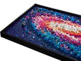 The Milky Way Galaxy