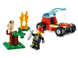 City Forest Fire