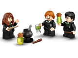 Harry Potter Hogwarts Polyjuice Potion Mistake