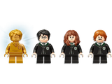 Harry Potter Hogwarts Polyjuice Potion Mistake