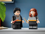 Harry Potter & Hermione Granger