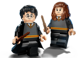 Harry Potter & Hermione Granger