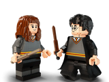 Harry Potter & Hermione Granger