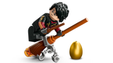 Harry Potter Hungarian Horntail Dragon