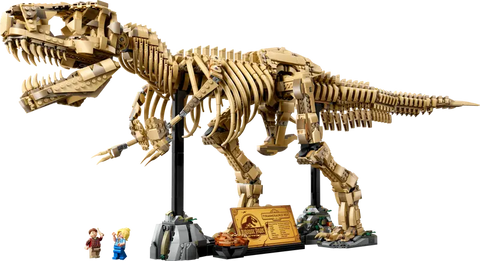 Dinosaur Fossils: Tyrannosaurus rex