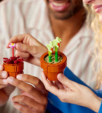 Tiny Plants