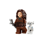 Star Wars Minifigures Set