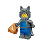 Mascot Minifigures Set