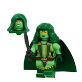 Wild's DC/Marvel Minifigures Set