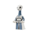 Star Wars Minifigures Set