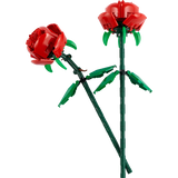 Bouquet of Roses