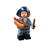 Fantastic Beast Minifigures Set