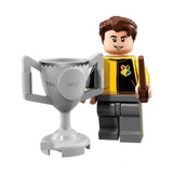 Harry Potter Minifigures Set